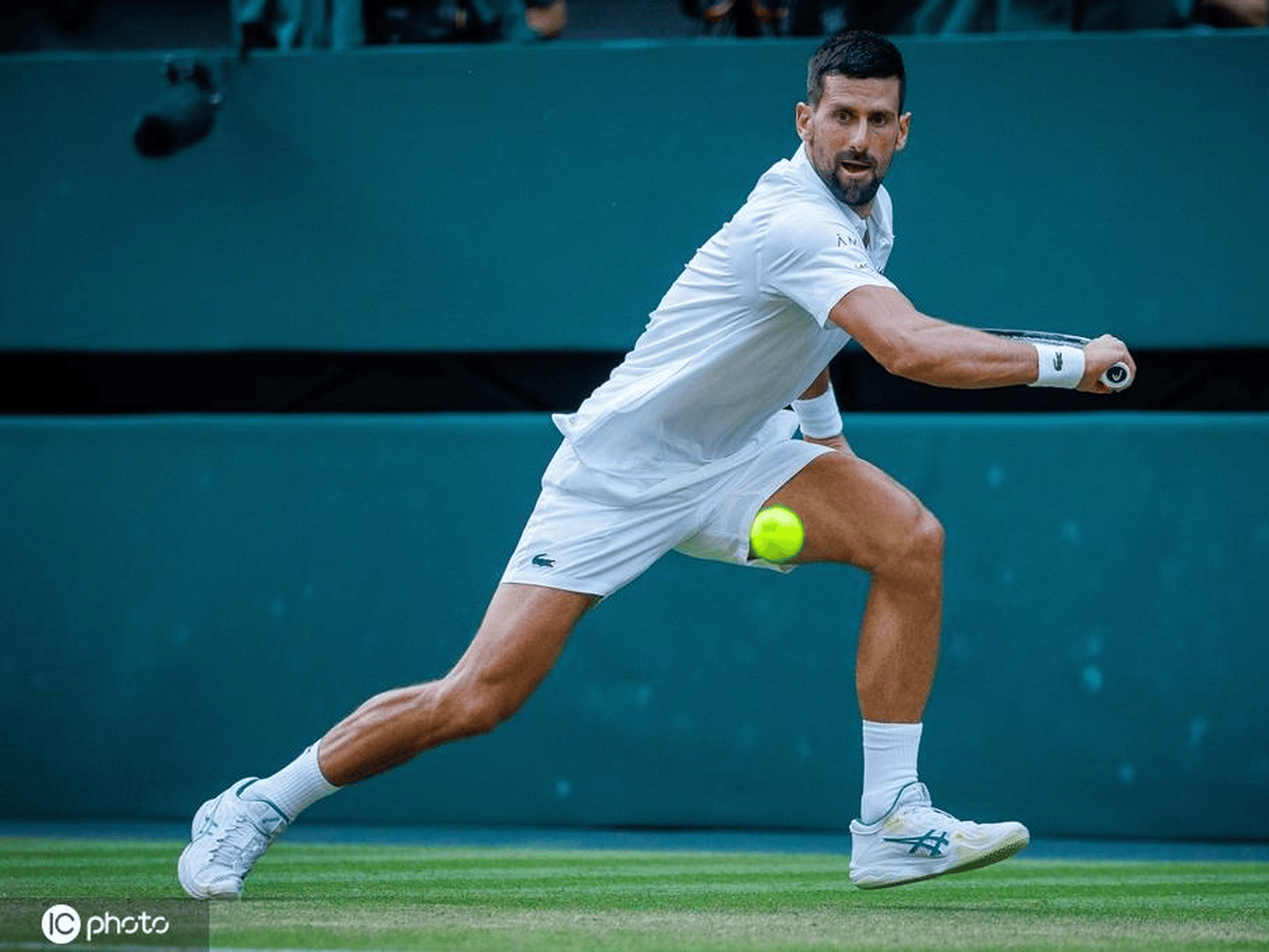 澳网逆转ATP总决赛,德约科维奇扛起全队 澳网逆转ATP总决赛,德约科维奇扛起全队