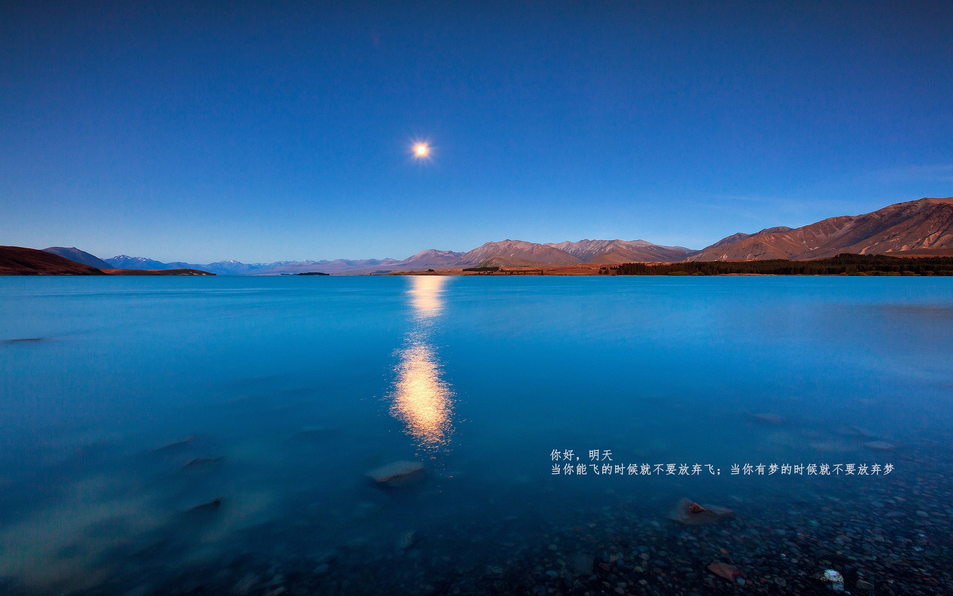 范弗利特爆发定乾坤,湖人巅峰对决力克浙江,诠释唯一性传奇